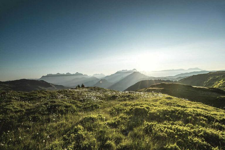 Sommerurlaub in Saalbach - Appartement Haus Traumblick